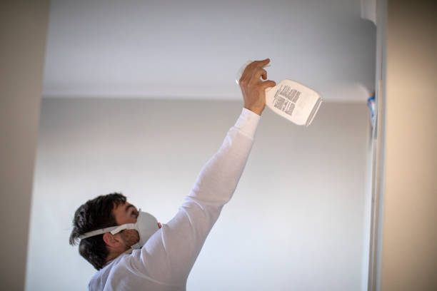 Best Professional Mold Removal  in Lewisport, KY